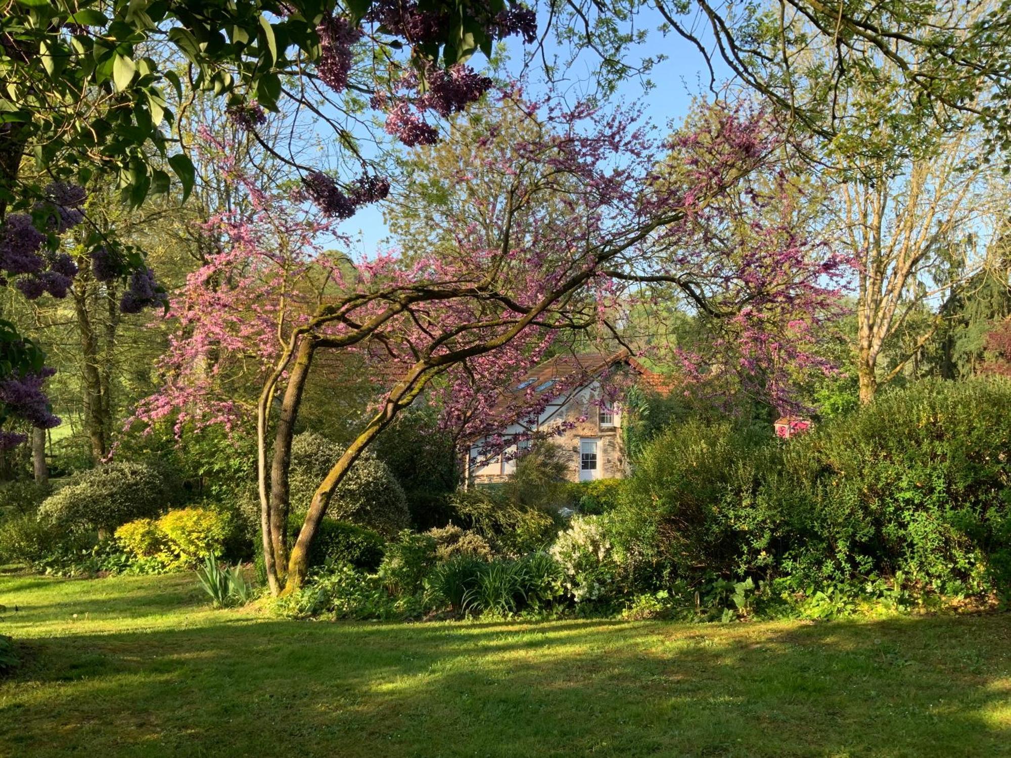 Le Moulin De La Castellerie Bed and Breakfast Moon-sur-Elle Eksteriør billede